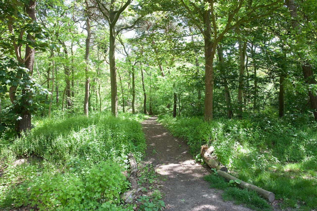 Betonnen Boshuis Oosterhout  Esterno foto